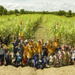 Aktivitas Sosial Dan Komunitas Kreatif