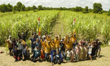 Aktivitas Sosial Dan Komunitas Kreatif