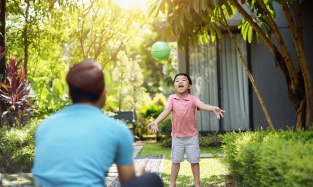 Tren Green Living Yang Semakin Banyak Diterapkan