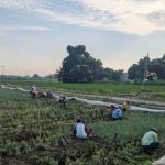 Kegiatan Lokal Menjadi Perhatian Di Tengah Perubahan