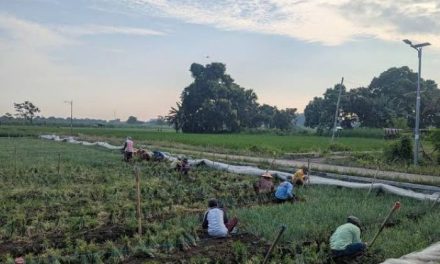 Kegiatan Lokal Menjadi Perhatian Di Tengah Perubahan