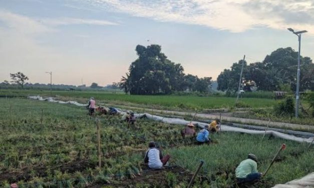 Kegiatan Lokal Menjadi Perhatian Di Tengah Perubahan