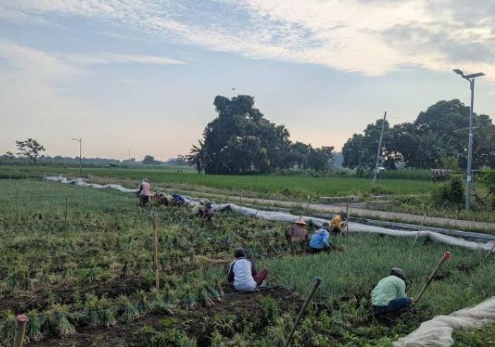 Kegiatan Lokal Menjadi Perhatian Di Tengah Perubahan